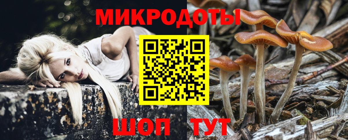 Псилоцибиновые грибы Cubensis  Вход с VPN  Отрадный 