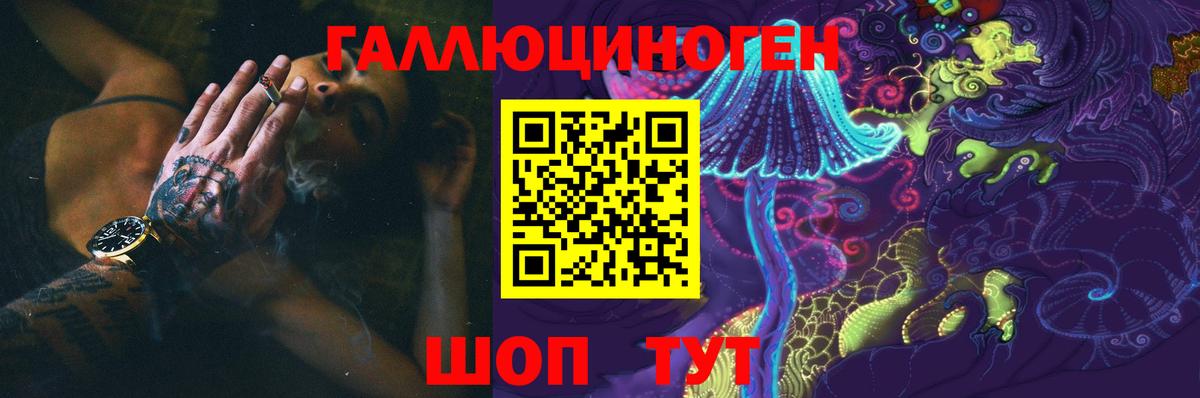 Псилоцибиновые грибы Psilocybe Отрадный